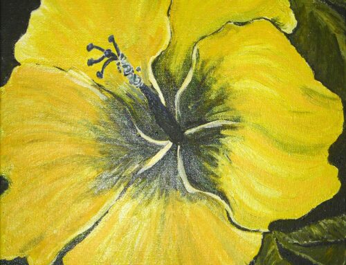 Analogous Color Flower