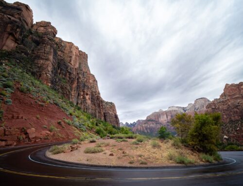 The Road to Zion